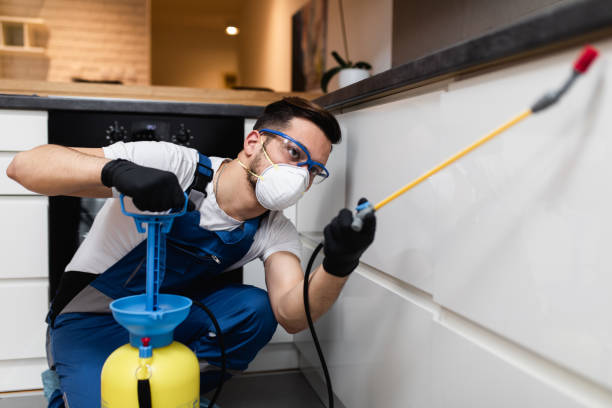 Pest Control for Restaurants in Jackson, OH