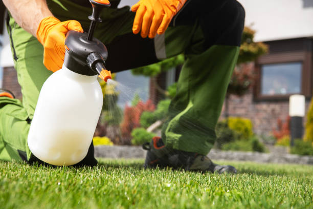 Best Local Pest Control Services  in Jackson, OH