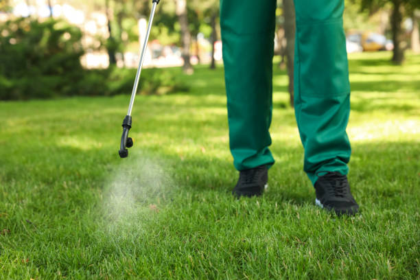Best Best Pest Control Companies  in Jackson, OH